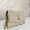 IMG_4801 Cartera Elegante Steve Madden