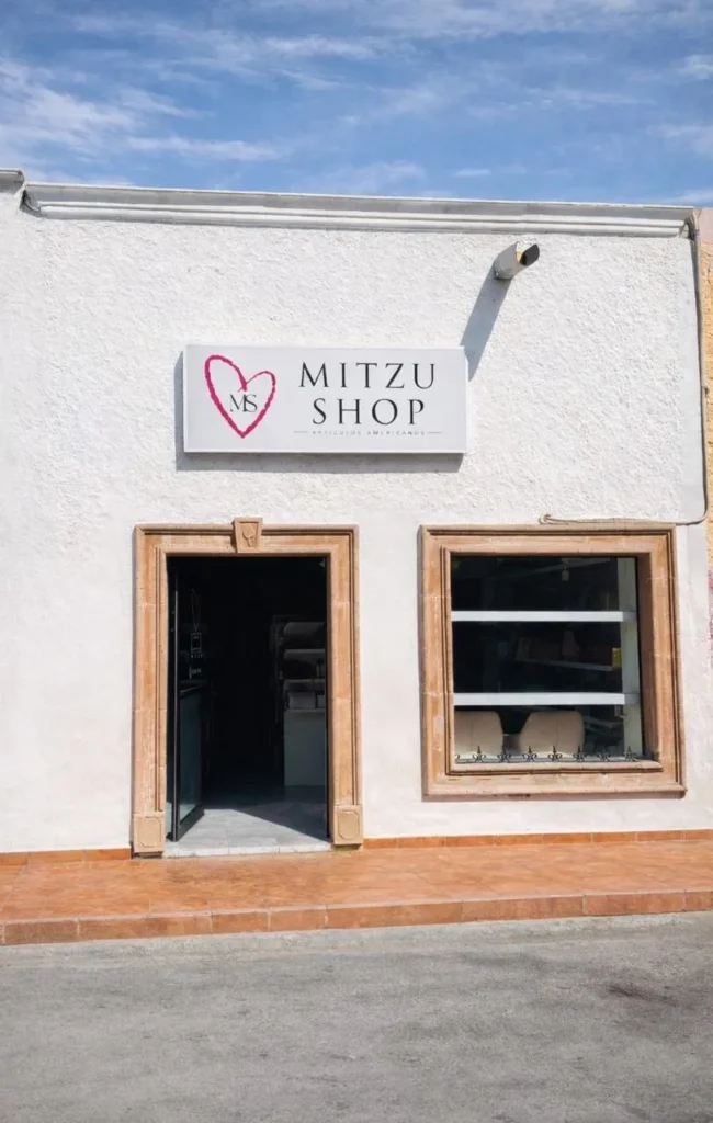 Tienda principal de MITZUSHOP